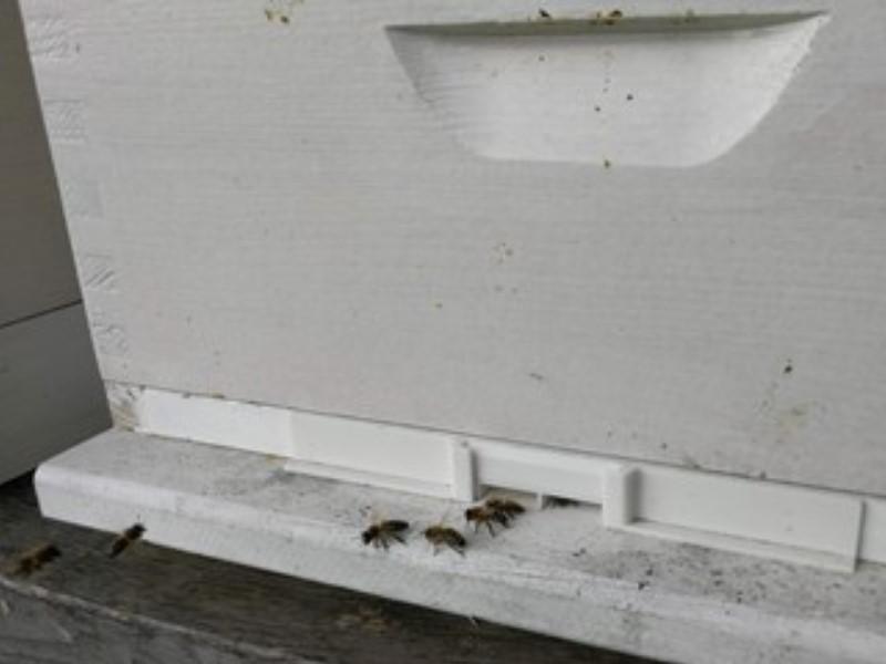 Čebelji koridor preprečuje čebelji rop